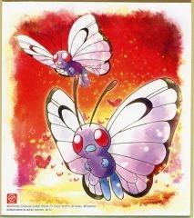 [중고] 식완 잡화 14. 버터 프리 [포켓몬 색지 ART4]