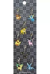 [중고] 잡화 부이즈 전국 스칸 메탈 매력 [포켓 몬스터] 포켓몬 센터 한정