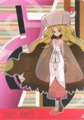 [중고] 클리어 파일 카틀레아 A4 클리어 파일 [포켓 몬스터 블랙 2·화이트 2] 포켓몬 센터 한정