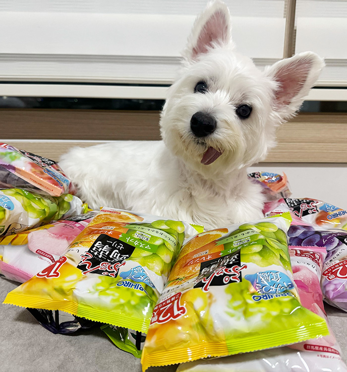 이서연의 이미지